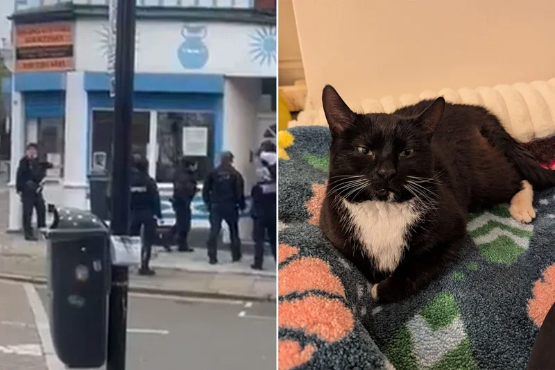 Moment police batter down 79-year-old woman’s door so RSPCA can seize her cat
