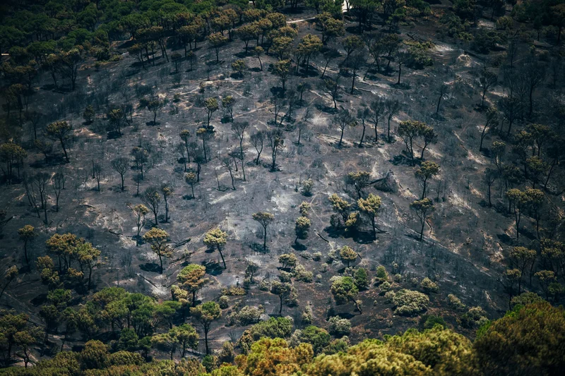 The cocktail behind the wildfires ravaging Spain: Unprecedented heat waves and a changing relationship with the countryside