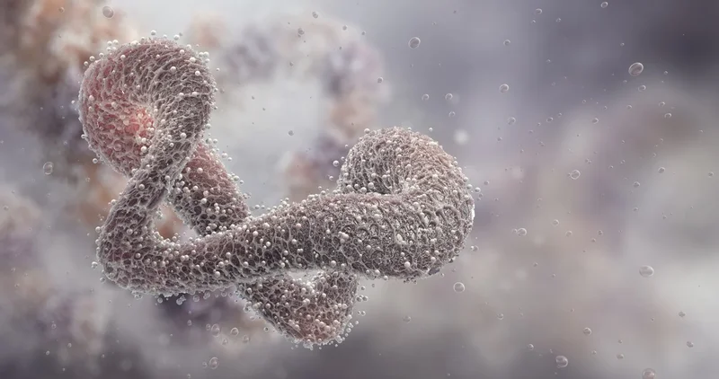 AI redesign helps enzymes evolve beyond natural limits