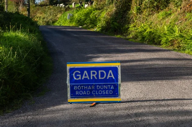 Gardaí appeal for witnesses after a man (50s) dies in a single-vehicle crash in Clare