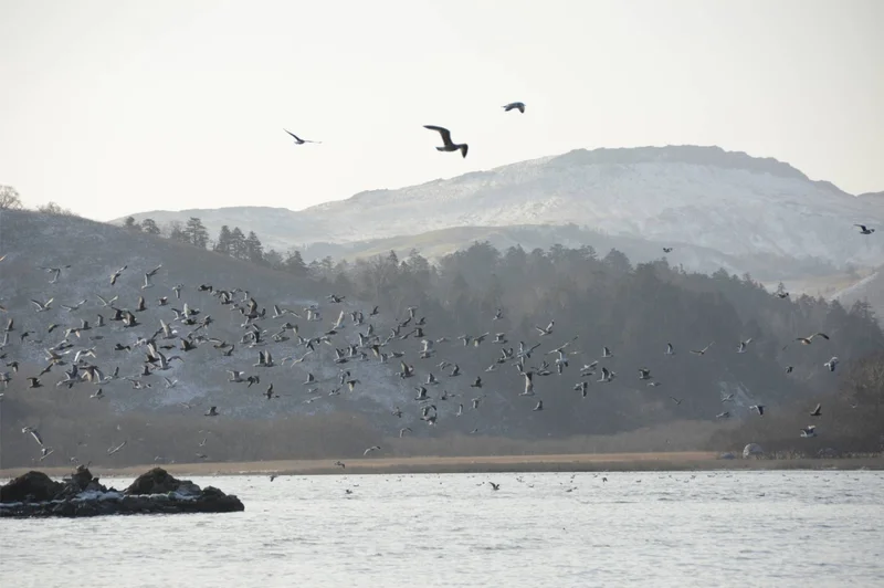 Russia to name Northern Territories island after Soviet spy Sorge