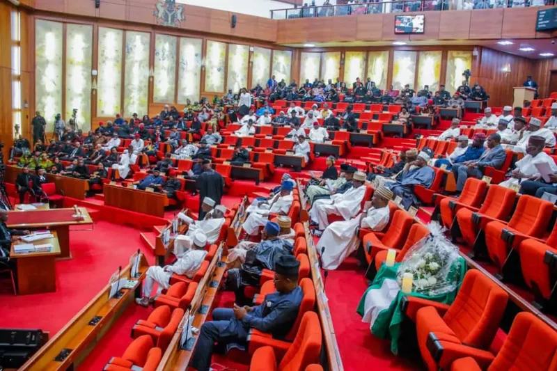 Senate declares Onyagede–Ogobia road in Benue national security project