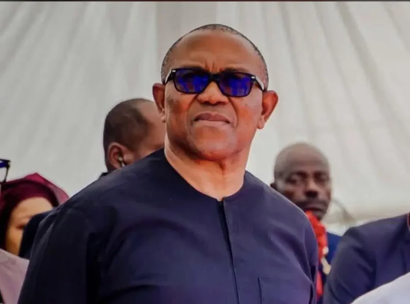 2027: ‘Is Tinubu going for boxing’ – APC fires back at Peter Obi’s ‘tired’ comment