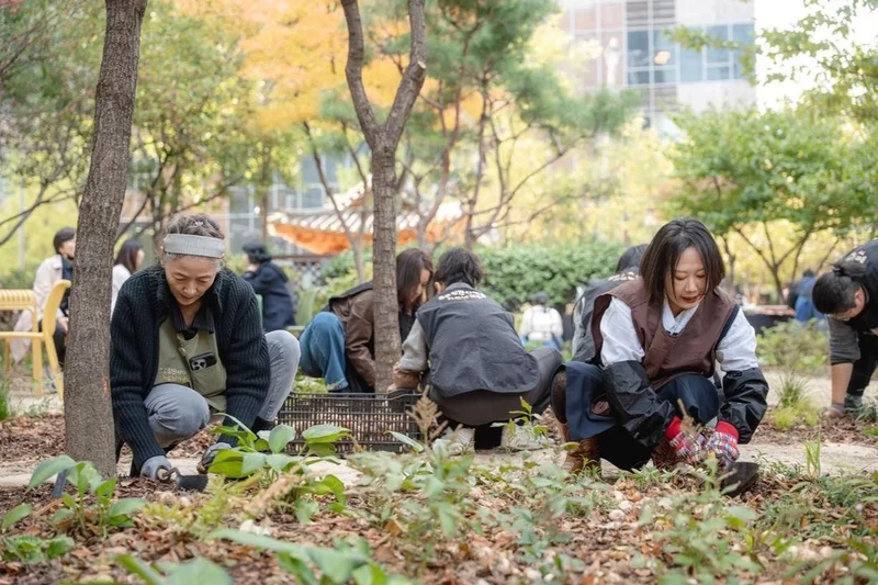 Urban oasis: Seoul's historic heart expands community gardens across its alleyways