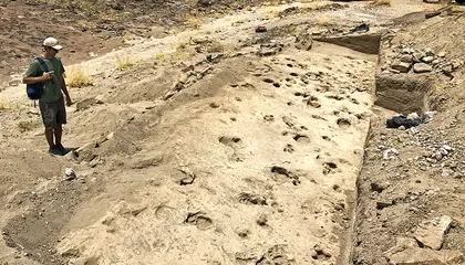 Ancient Fossil Footsteps Found in Kenya May Hint That an Early Human Relative Was Larger Than Previously Thought