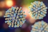 Measles, Polio, and Other Vaccine-Preventable Diseases Are Re-emerging &mdash; Here's What To Know&nbsp;