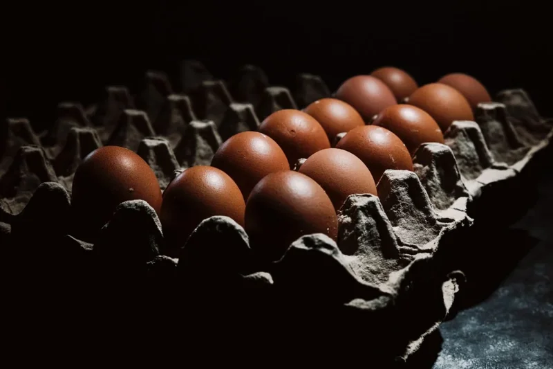 Egg-Linked Salmonella Outbreak Has Sickened 98 People, With Many Cases Still Unexplained