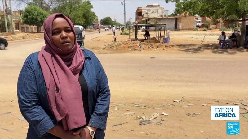 Drone strikes and abuse rock Sudan's El-Obeid as conflict intensifies over city