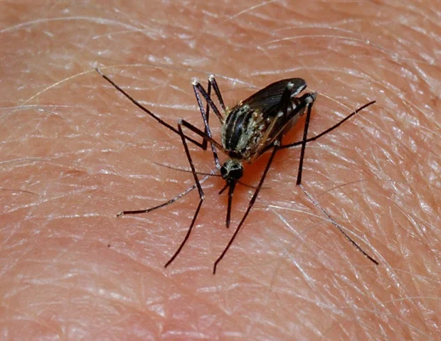 Climate change shifts malaria risk across sub-Saharan Africa
