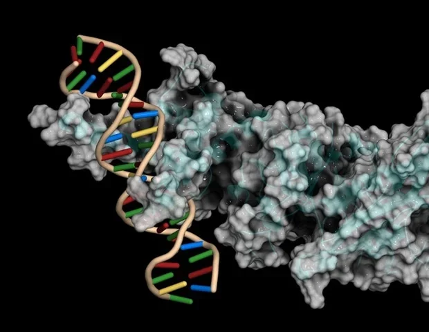 Scientists discover master molecular switch for ginseng saponin production