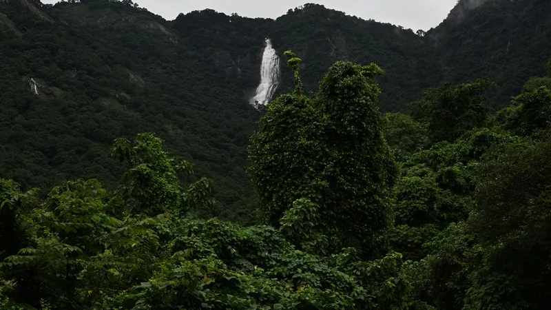 Centre reissues notification on Western Ghats eco-sensitive zone amid deadlock with States