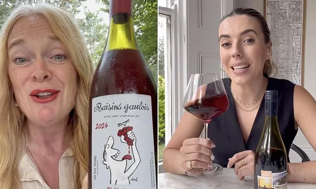 Purists look away...Red wine DOES belong in the fridge, experts say