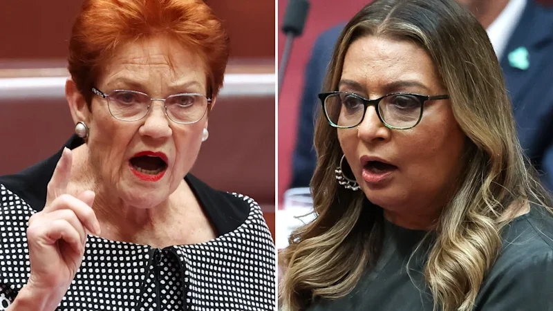 Pauline Hanson loses bid to overturn racial vilification ruling