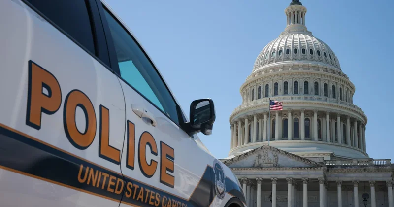 Georgia man who ran toward Capitol with shotgun pleads guilty