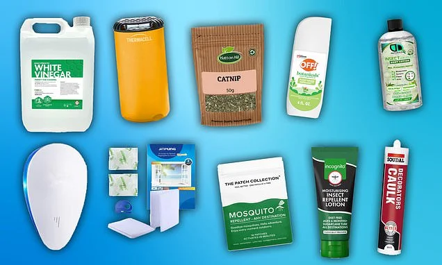 Buzz off! Spray-free hacks for warding off bugs and mosquitos this summer revealed by experts - from 'miracle' £6 body oil and herbs to quirky gadgets