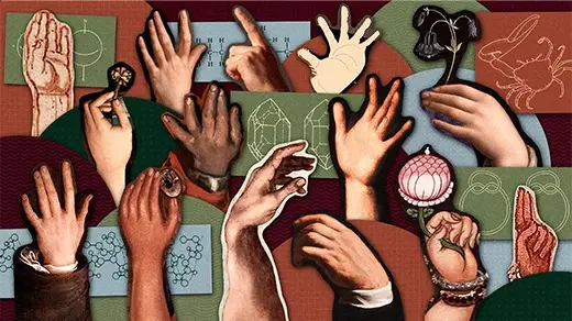 Why Am I Left-Handed?