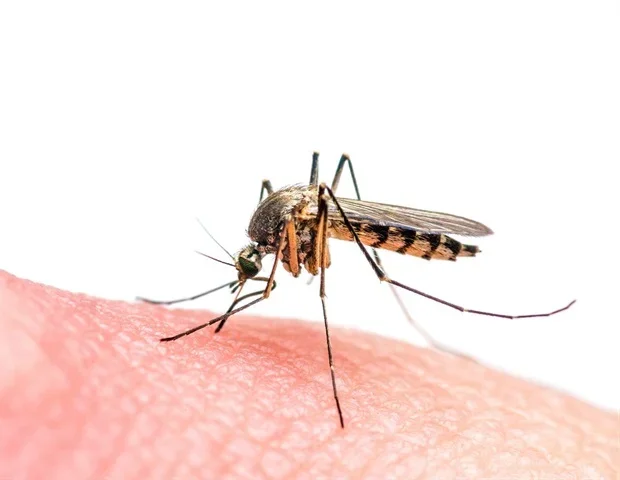 NIH funds mosquito genetics research to curb deadly disease spread