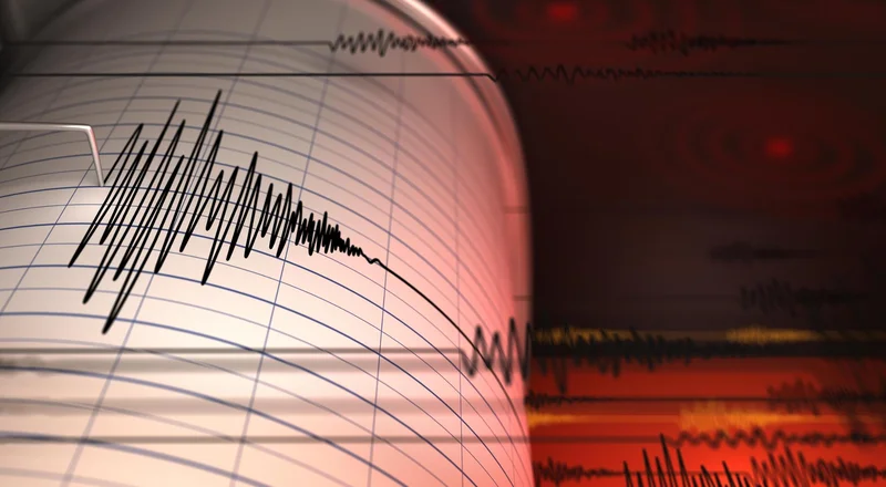 Tremor of Japan earthquake felt in parts of Korea: authorities