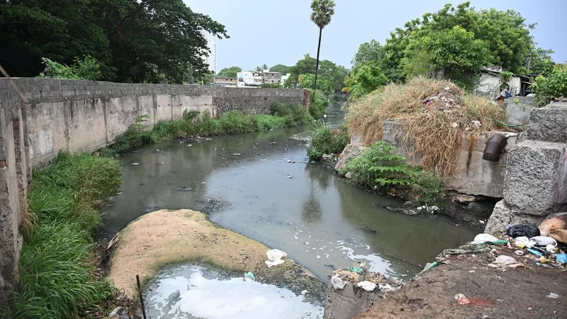 Residents appeal to WRDto improve initial stretch of Thanikachalam Nagar drain