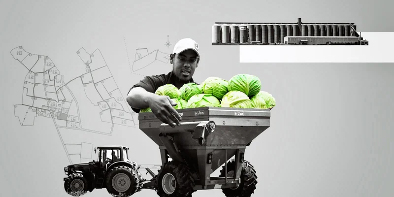 FOOD SUSTAINABILITY: How skill-sharing and market insights can unlock small-scale regenerative agriculture