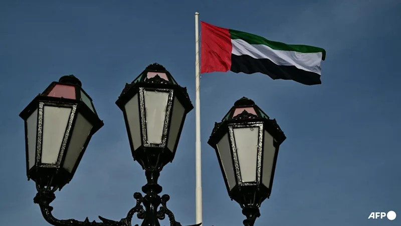 UN experts urge UAE to free British businessman