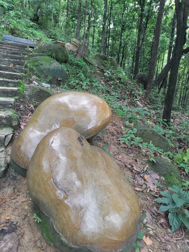 Chilean Sculptor Mauricio Guajardo Wins Argentina’s Chaco Biennial