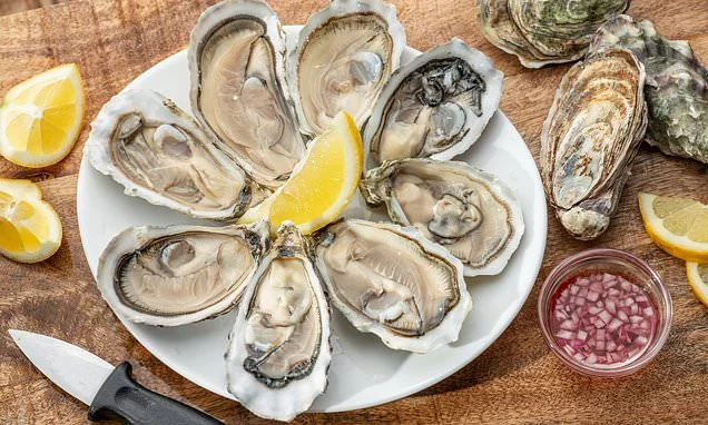 Why oysters are the 'most nutritious animal' that can keep you full on just 10 calories, according to experts - but too many could be dangerous