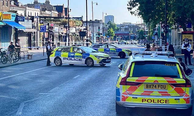 Six are arrested for murder as man, 22, is stabbed to death in Clapham knife fight that also saw four injured