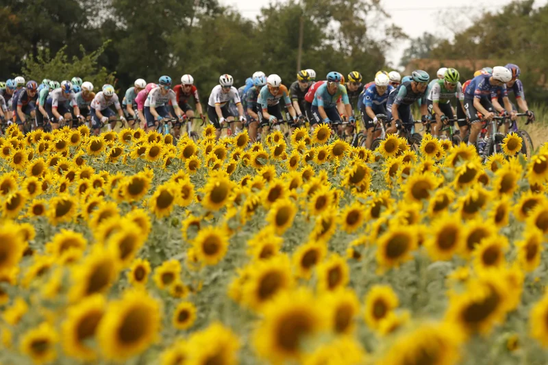 IN PICTURES: From mountain passes to Paris: Scenes from the 2026 Tour de France