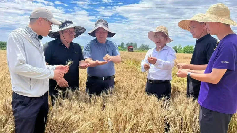China is making a great leap forward in food production – this time for real