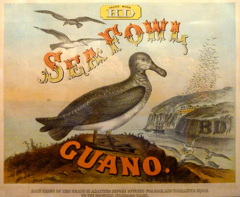 Bird droppings were a foundation of modern agriculture and American empire