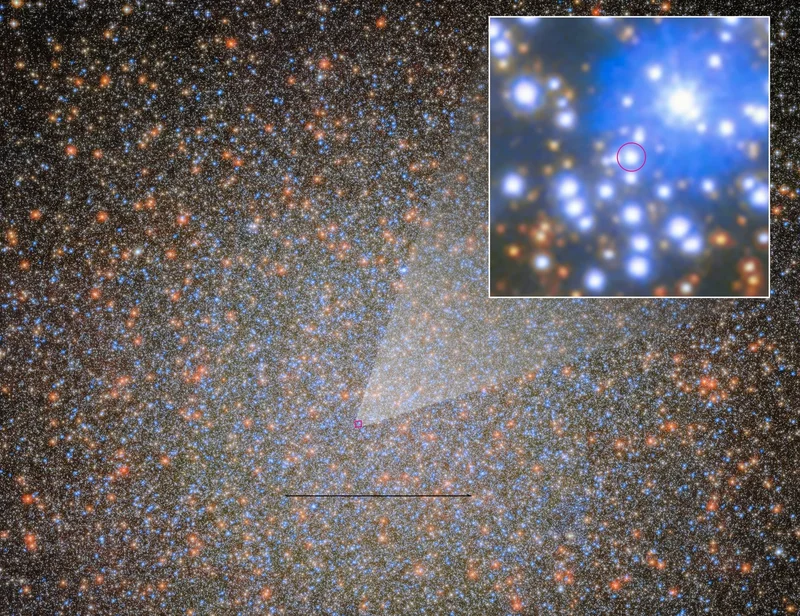 Hubble Discovers the First "Missing" Black Hole in this Famous Star Cluster