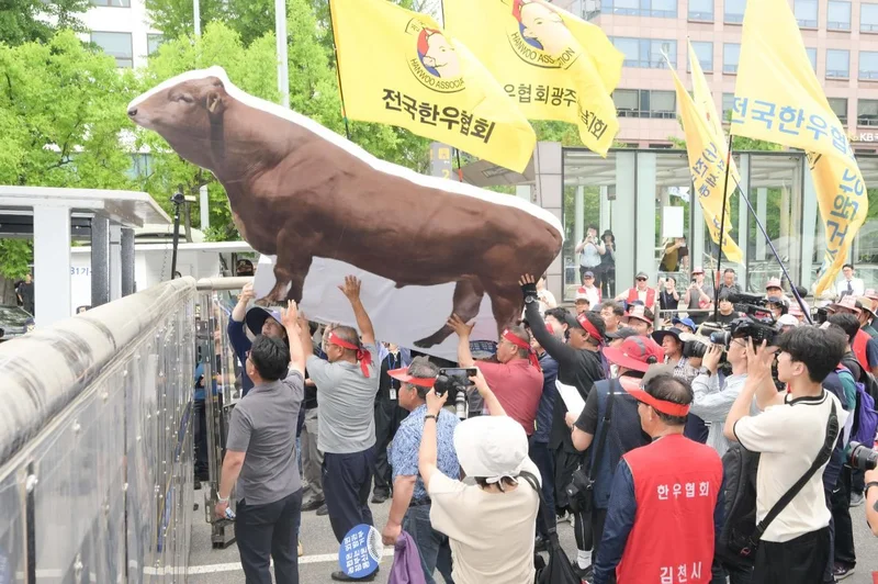 Korean cattle farmers disgruntled by Brazilian beef import plan