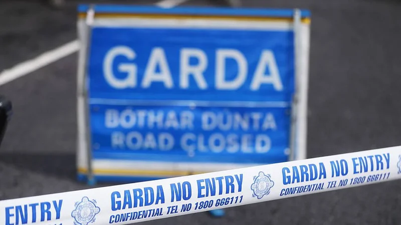Woman (50s) dies, child in critical condition following Cavan crash