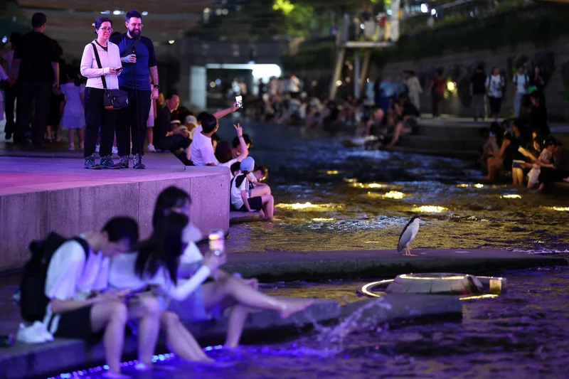 Korea sees record number of tropical nights so far this summer