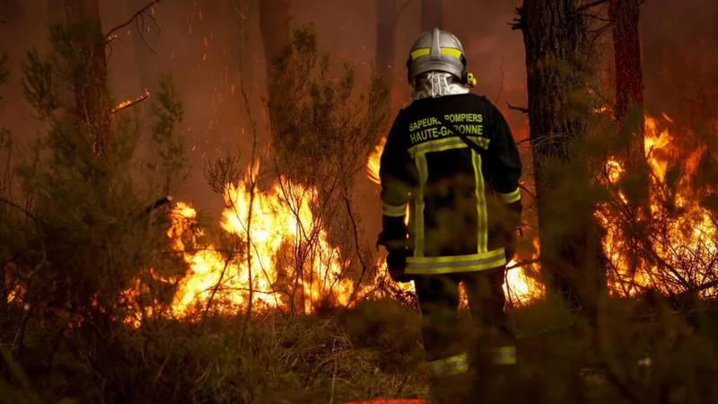 How did climate change fuel the wildfires ravaging Europe this summer?