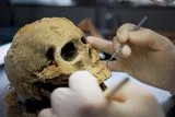 A Young Person&rsquo;s 200,000-Year-Old Skull Fragment Suggests Diverse Human Populations in Ancient Spain