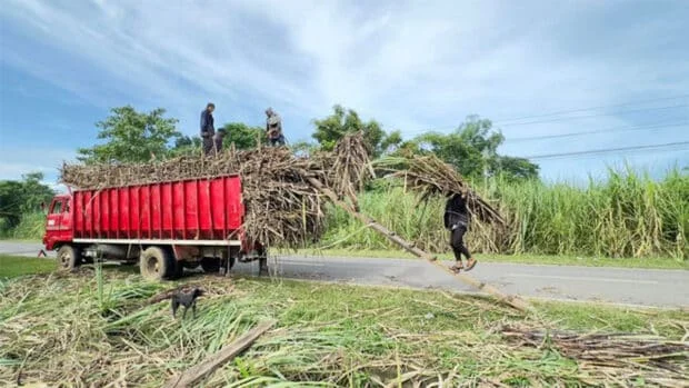 Negros sugar workers say economic recovery must include rural areas
