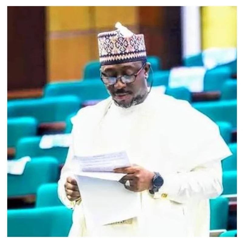 Zamfara lawmaker raises alarm over rising bandit attacks
