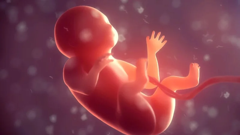 Having babies in space; China’s first Fields Medal winners: 7 science highlights
