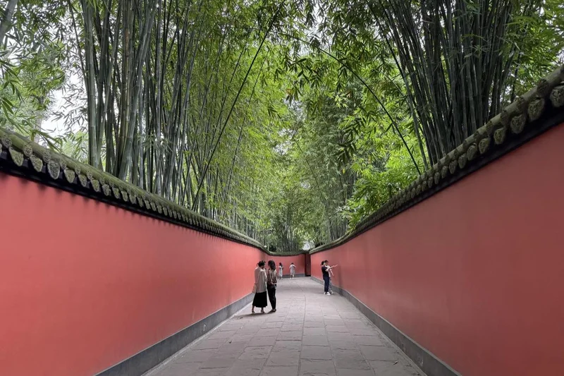Slow living, spicy flavors in Chengdu resonate with Korean travelers