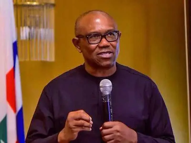‘Tinubu’s comment on hunger insensitive’ — Peter Obi