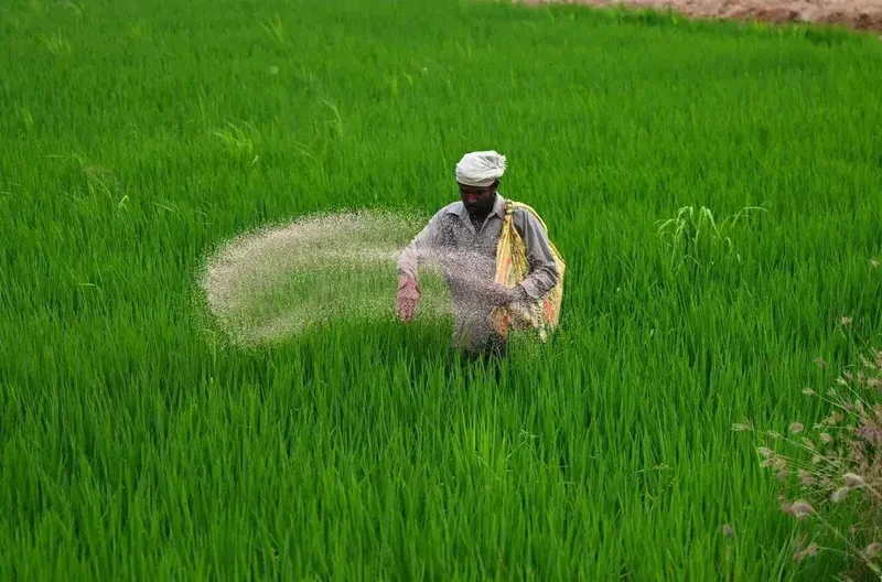 India's fertiliser game plan: 32 lakh tonnes imported in Q1; strengthened supply chains