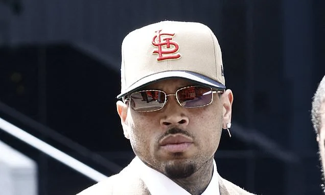 Singer Chris Brown pleads guilty to attacking music producer in Mayfair nightclub