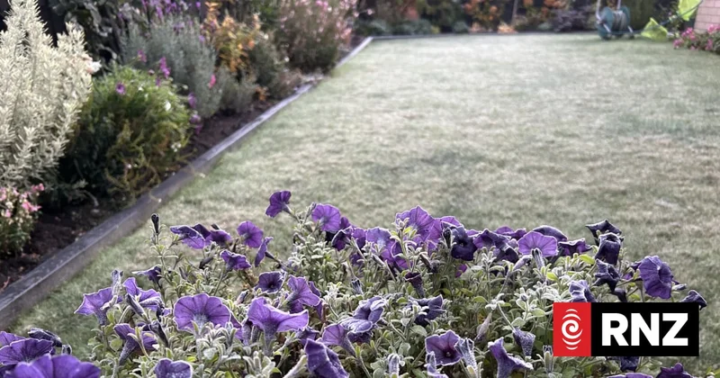 Auckland hits the negatives as freezing temperatures continue