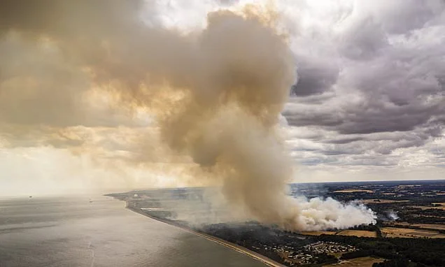 Scientists reveal what would happen if 'out of control' wildfires reach the Sizewell B nuclear power station