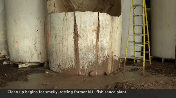Let Me And A Food Scientist Sample The Abandoned Fish Sauce Terrorizing A Small Canadian Town
