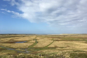 Body parts found on Texel belong to Afghan refugees