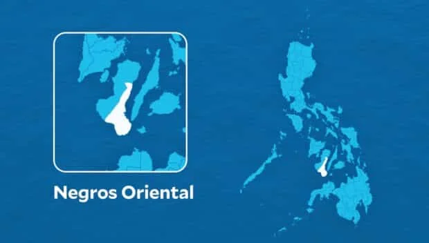 1 dead, 3 hurt as Pag-ibig team van crashes in Negros Oriental