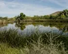 ‘Total chaos’: the biological wonderland threatened by Trump’s border wall